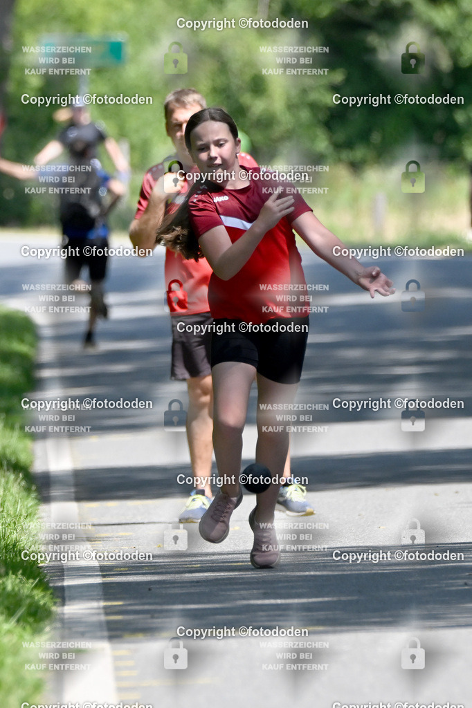 DSC_1249 | Malena Küper / Schweinebrück / wJD Holz