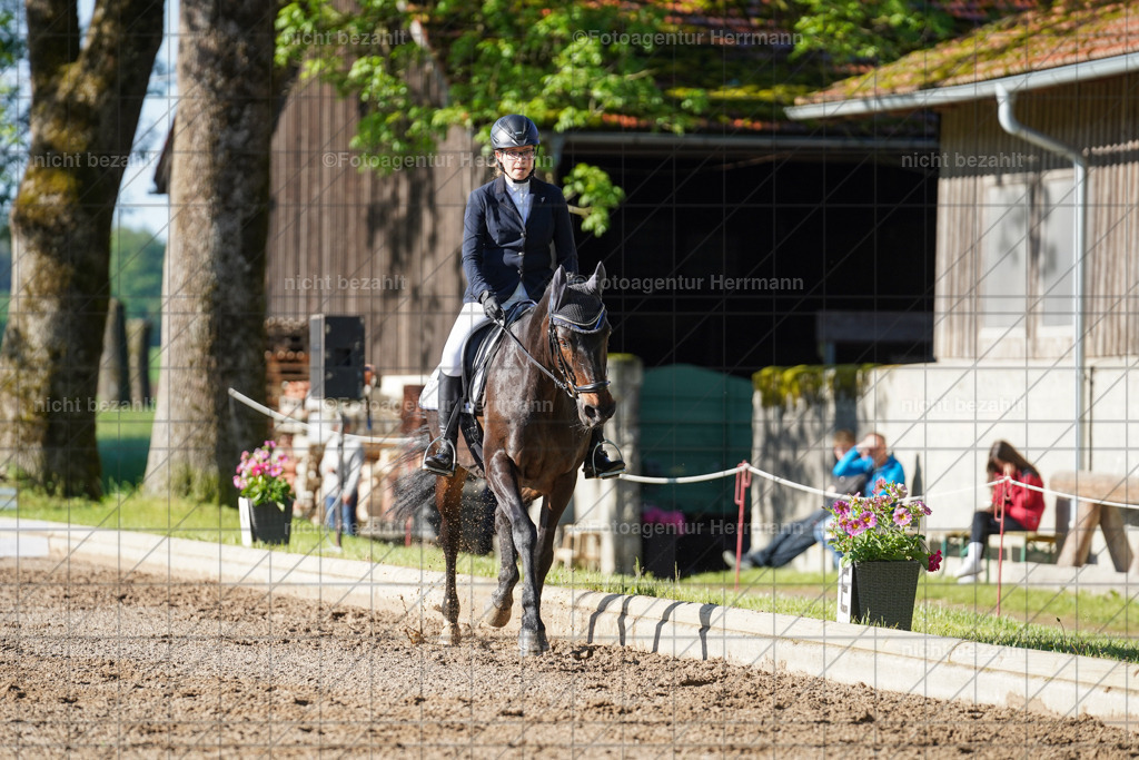 20240519-FAH04307 | Turnierbilder Niederseeon 2024, Vielseitigkeitsdressur, Reitsportbilder aus dem Landkreit Ebersberg, Gut Steinsee, RC Steinsee, Fotoagentur Herrmann