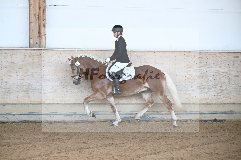 Kat-Nr. 1 Andiamore PBS v. Amore Mio_Schauermann_43250273 | hf-fotografie - Realisiert mit Pictrs.com