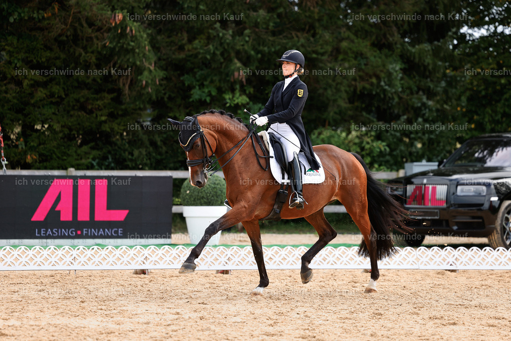 11-003-Dressur S___-StoibPH-1056 | working equitationturnier fotograf videograf stoibphotography marixx film working equitation deutschland reitsport turnierfotografie eventfotografie equestrian events