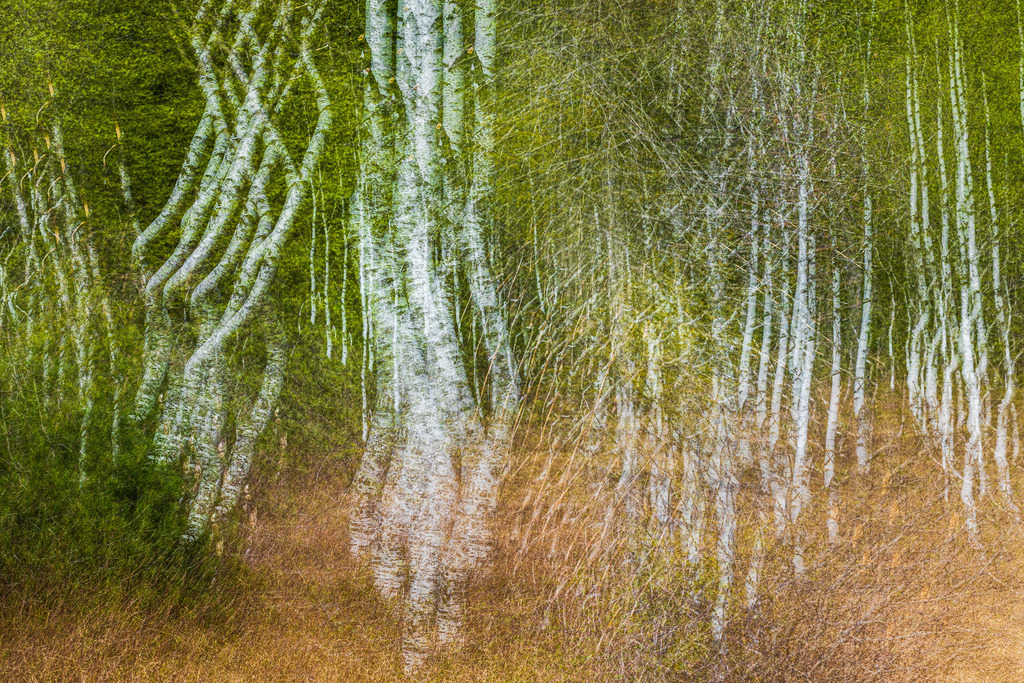 IU2A2646 | ap-design // andreas plenk - Realisiert mit Pictrs.com