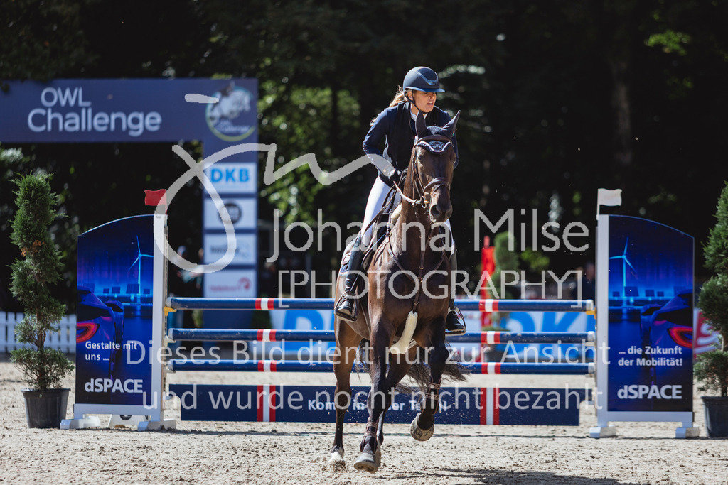 240912_OWLCh_AmateurS-280 | Deine schönsten Turniermomente als professionelle Fotos! Entdecke hochwertige Pferdesport-Fotografie im Online-Shop. Jetzt Fotos finden & bestellen!