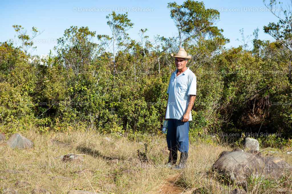 202510-110 | Stockfoto und Bilderpool mit Bildmaterial aus Deutschland, dem Harz, Halberstadt, Quedlinburg, Wernigerode und weltweit. Qualitativ hochwertige und professionelle Fotos anschauen und kaufen. - Realisiert mit Pictrs.com