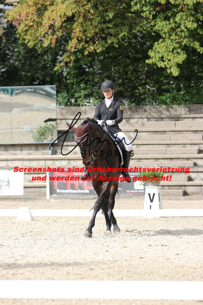 IMG_6649 | lmwpictures - Realisiert mit Pictrs.com