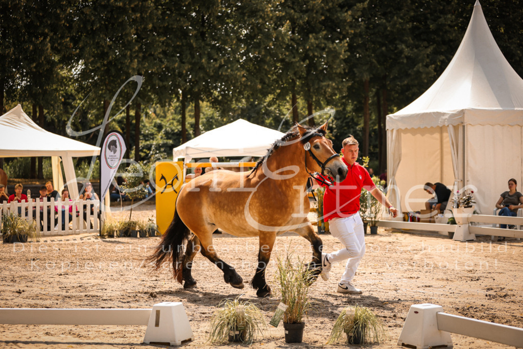 2.Sa00036 | Leoni Ertmer Photography - Realisiert mit Pictrs.com