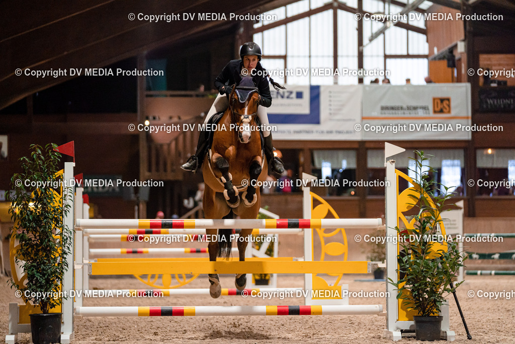 Springen Tag 2-734 | dv-media-shop - Realisiert mit Pictrs.com