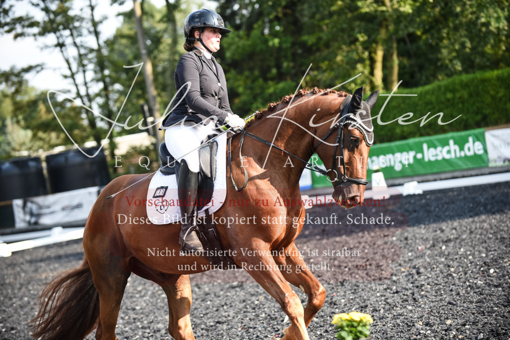 DSC_3270 | Pferde- und Turnierfotografie in Westsachsen. Pferdeportraits, Auftragszeichnungen und intuitive Kunst.