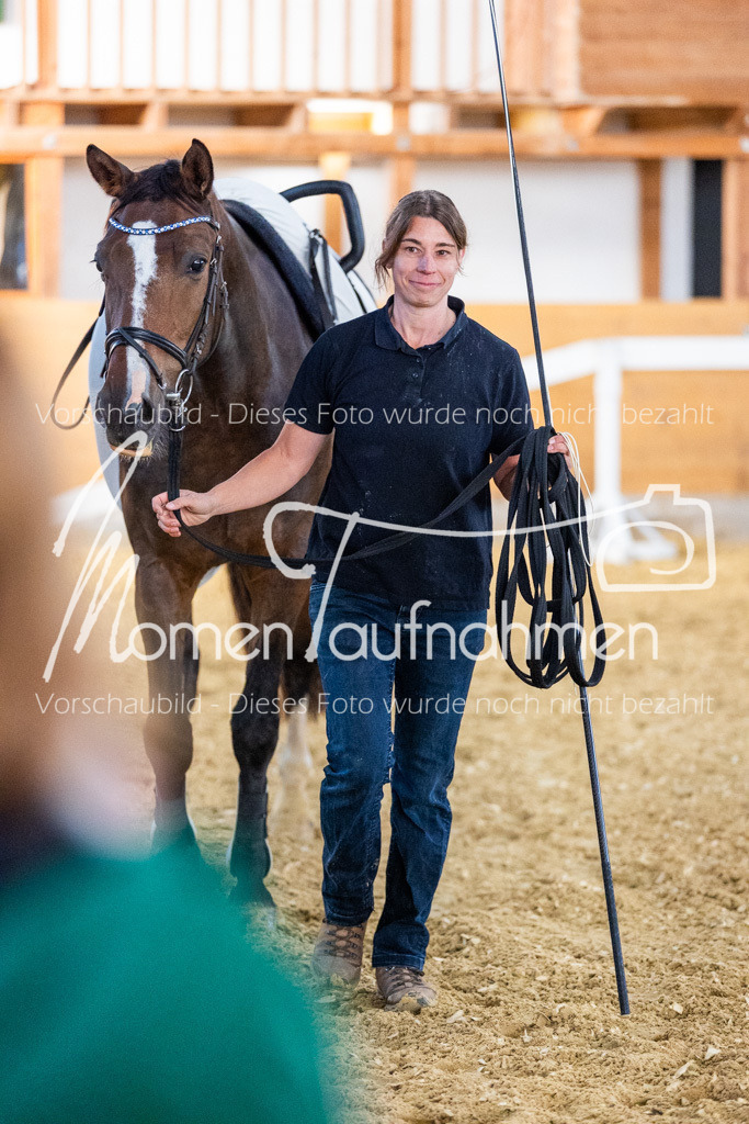 VTD-Voltigierpferde-075 | MomenTaufnahmen Pferdesportfotos