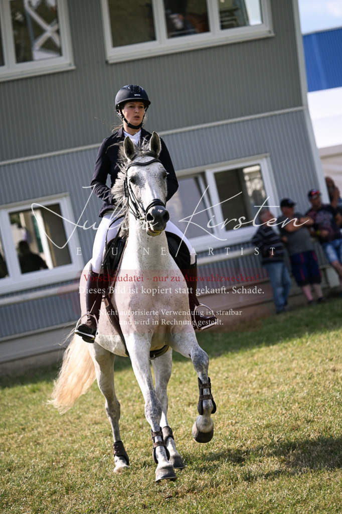 DSC_1066 | Pferde- und Turnierfotografie in Westsachsen. Pferdeportraits, Auftragszeichnungen und intuitive Kunst.
