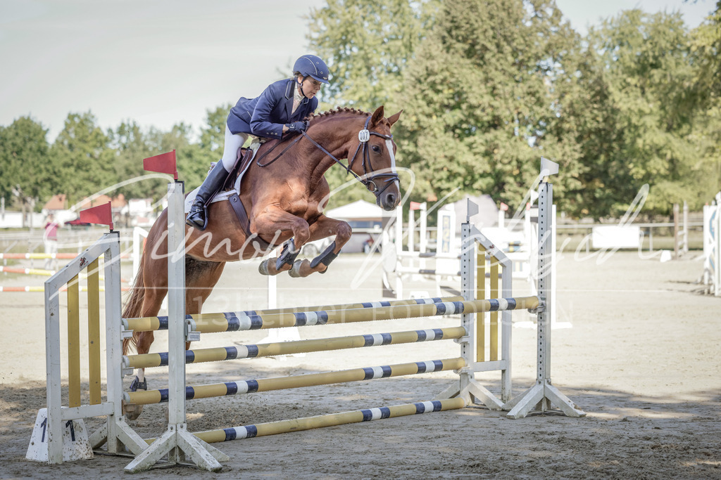 20250906-_3LI3413 | Tierfotografie Pferde, Hunde, Katzen, Haustiere.
Turnierfotografie Reitturniere, Reiten, Springreiten, Dressur in Hanau, dem Main-Kinzig-Kreis und dem Rhein-Main- Gebiet um Frankfurt