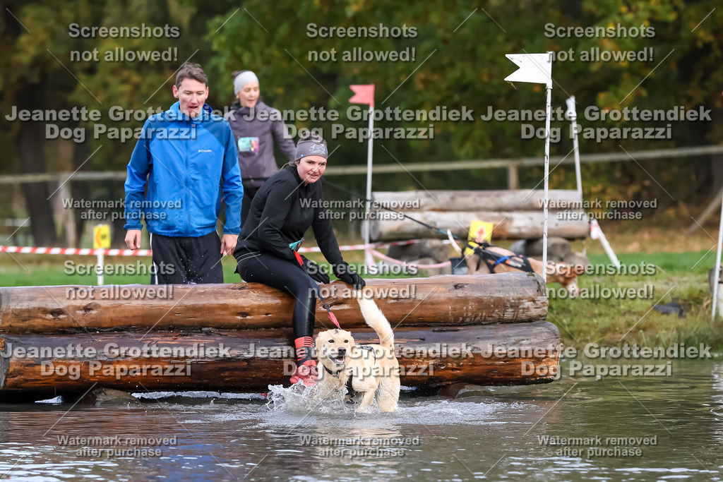 Dog Paparazzi - Strongdog 10-25-6775 | Dog Paparazzi Jeanette Grottendiek Fotografie & Videografie - Realisiert mit Pictrs.com