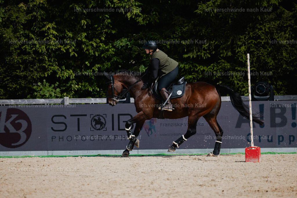 Lara_21_FHC2025-48 | working equitationturnier fotograf videograf stoibphotography marixx film working equitation deutschland reitsport turnierfotografie eventfotografie equestrian events