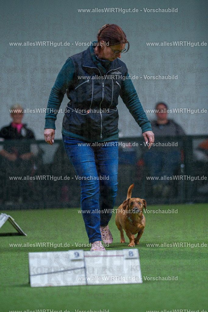 7R501887 | Professionelle Tierfotografie in Mönchengladbach von Daniel Wirth (allesWIRTHgut). Liebevolle & natürliche Bilder von Hunden & Katzen für unvergessliche Erinnerungen.