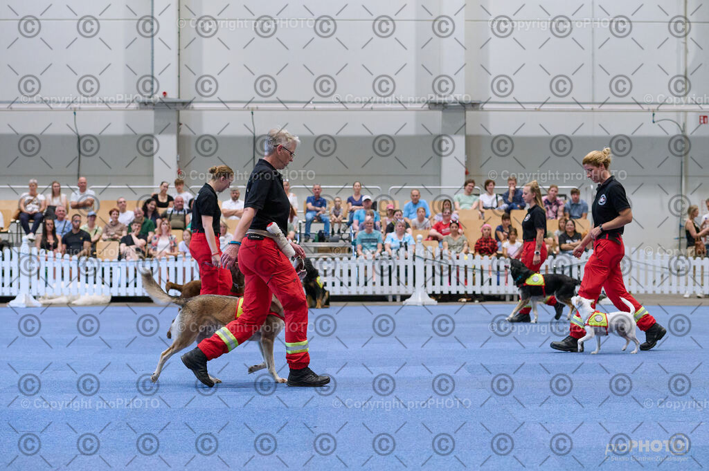 202406_ÖKV-IHA-Tulln24_DSC_3439 | proPHOTO - Realisiert mit Pictrs.com