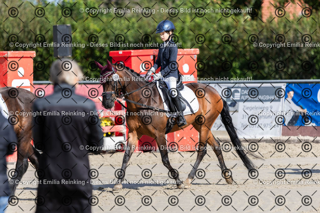 CL5A1811 | Emilia Reinking Fotografie - Realisiert mit Pictrs.com