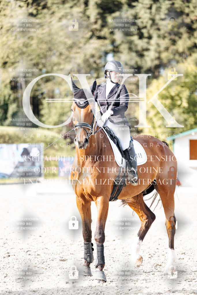 CK901404 | Turnierfotografie Pferdefotografie Trier Rheinland-Pfalz Pferdesport Reitsport Tierfotografie Sportfotografie Pferdevideo Pferdevideografie Equestrianvideography equestrianphotography  - Realisiert mit Pictrs.com