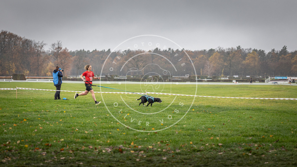 CaniXpix_DV3A8892 | Hundefotografie, Tierfotograf, Pfotenfotografie, Fotoshooting Hund, Hunde Portrait, Hundesport, Hundeportraits, Heideshooting, Hunde, Sportfotograf, Hundefotograf, Turnierhundsport, THS,  - Realisiert mit Pictrs.com