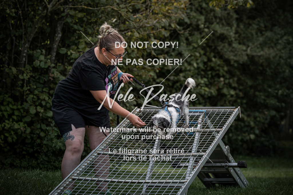 nelerasche_SoLauf_39 | nelerasche