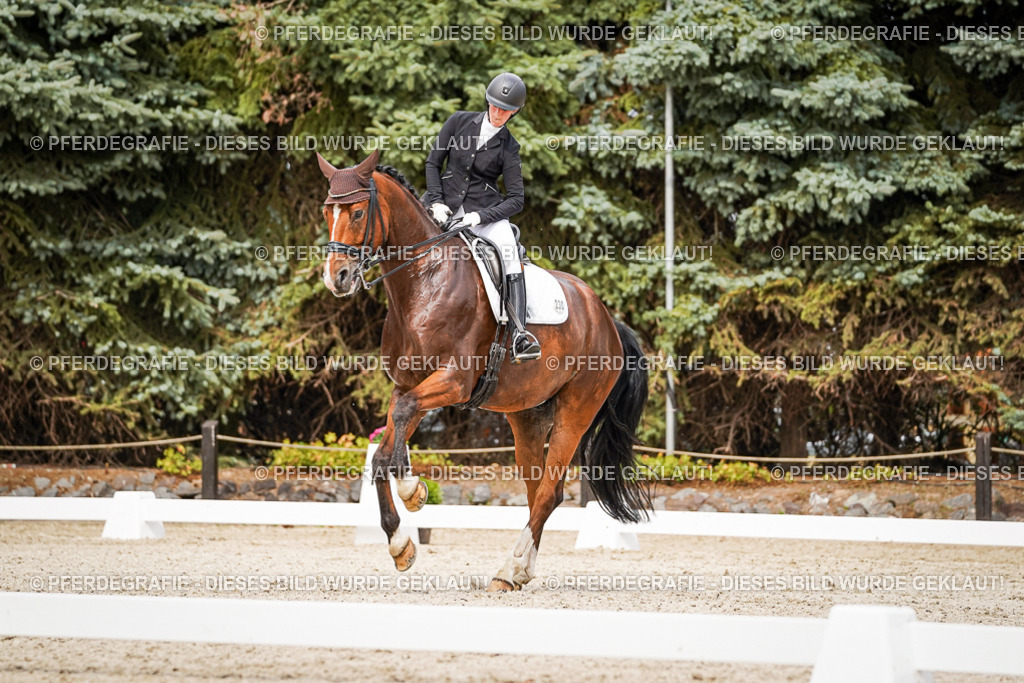 DSC06502 | Pferdegrafie