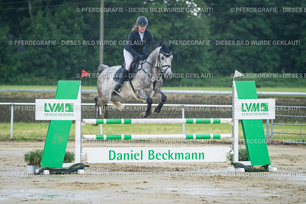 DSC04211 | Pferdegrafie