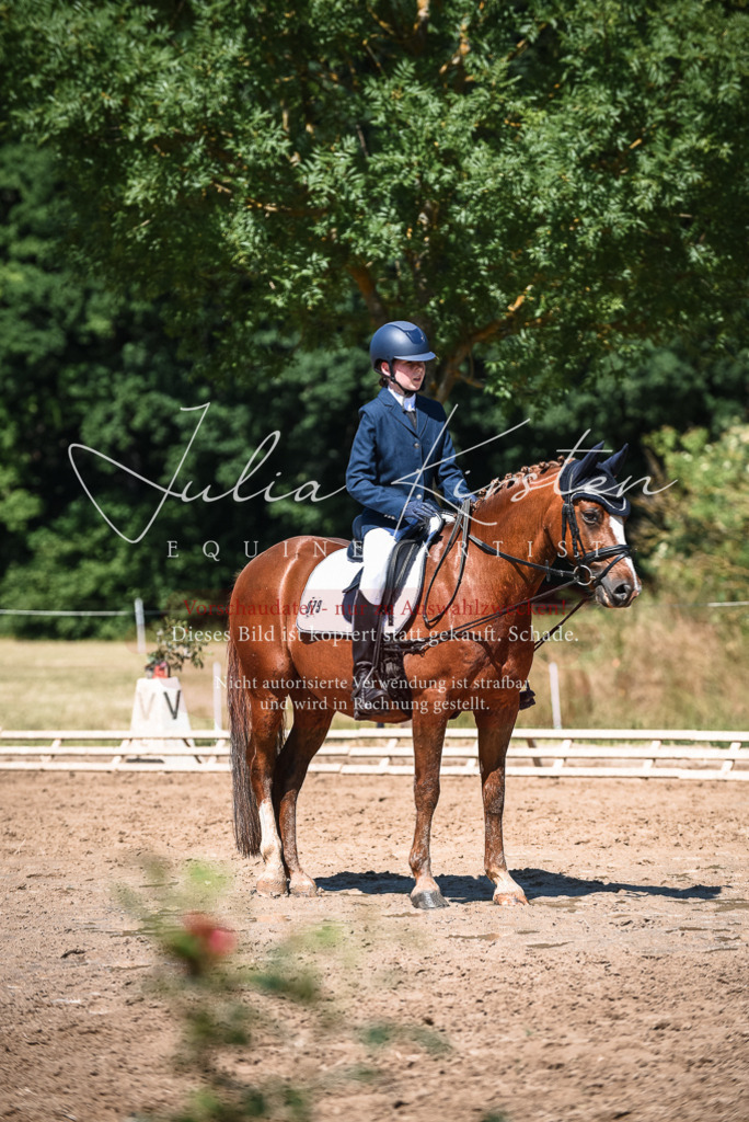 DSC_3510 | Pferde- und Turnierfotografie in Westsachsen. Pferdeportraits, Auftragszeichnungen und intuitive Kunst.