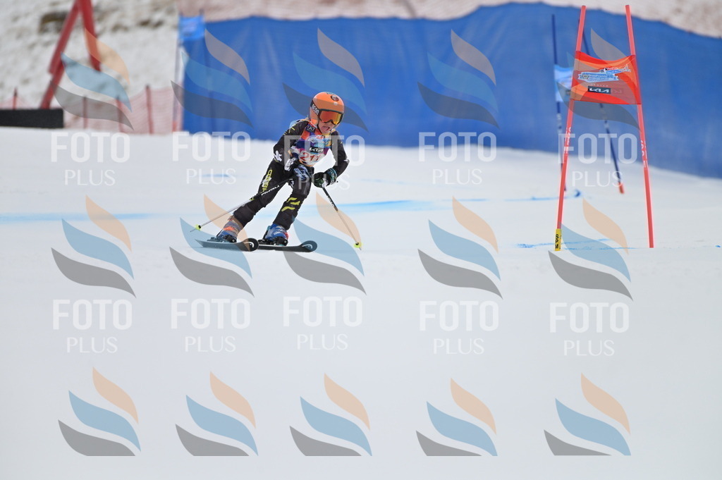 BGV_2425 | holidayphoto