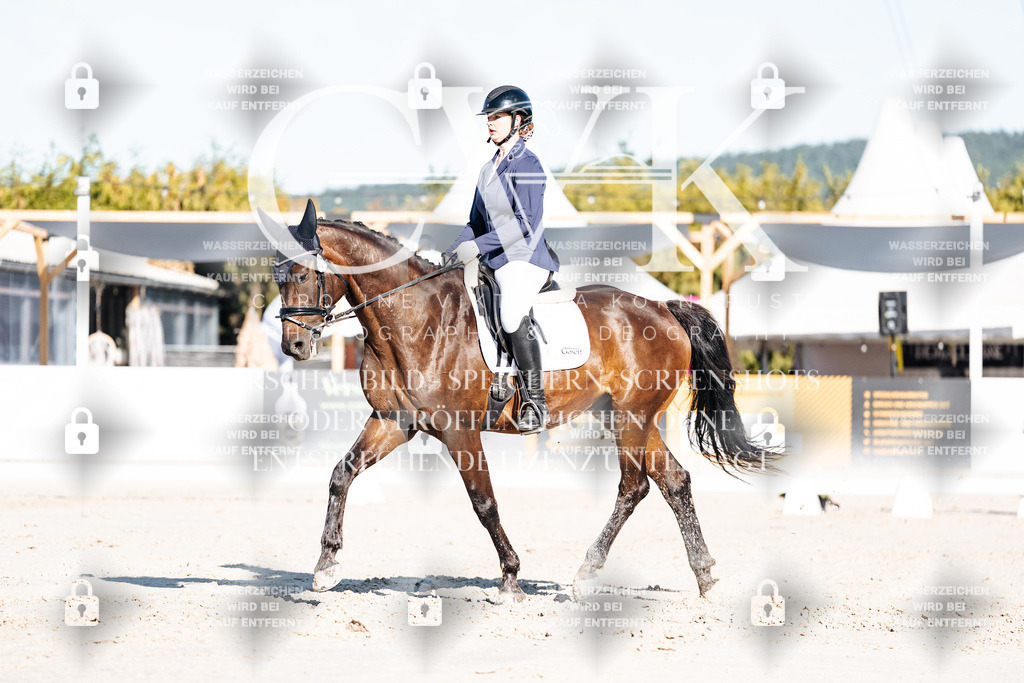 CK907302 | Turnierfotografie Pferdefotografie Trier Rheinland-Pfalz Pferdesport Reitsport Tierfotografie Sportfotografie Pferdevideo Pferdevideografie Equestrianvideography equestrianphotography  - Realisiert mit Pictrs.com