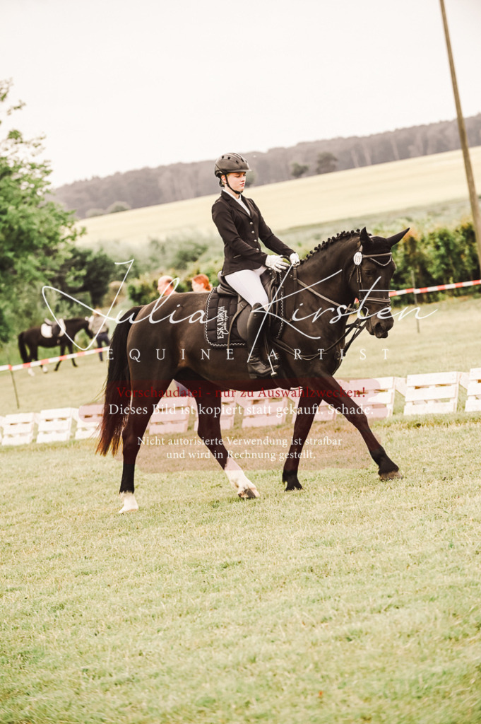 DSC_5063 | Pferde- und Turnierfotografie in Westsachsen. Pferdeportraits, Auftragszeichnungen und intuitive Kunst.