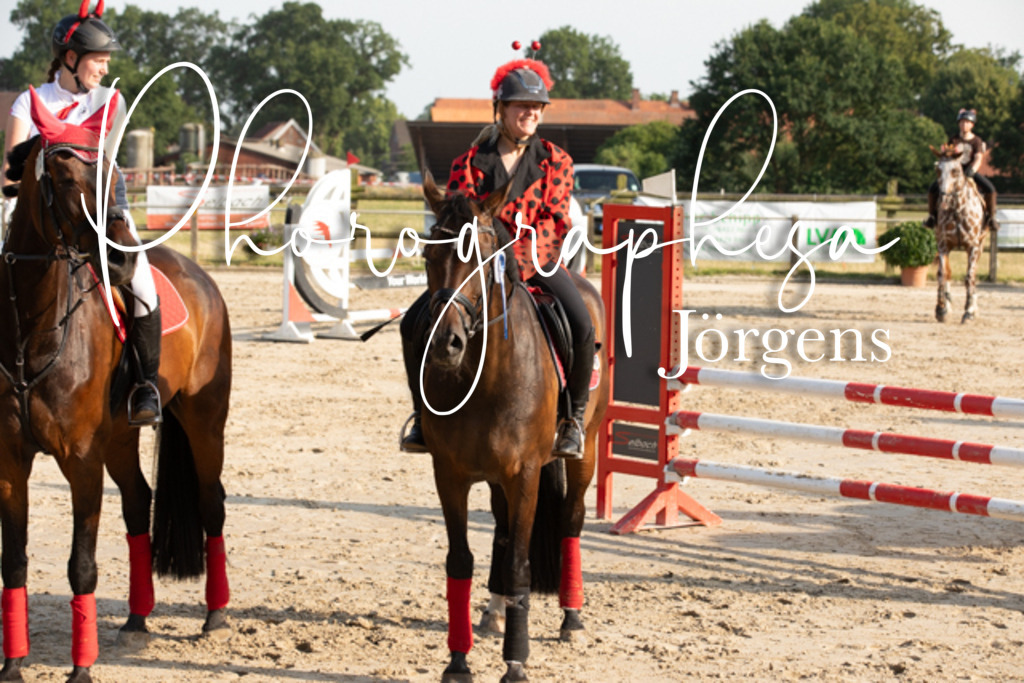 IMG_3668 | photographesa-joergens - Realisiert mit Pictrs.com