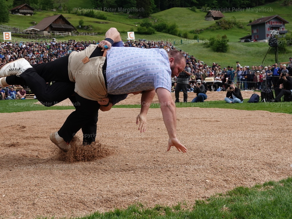 DSC07267 | Schwingen - Realisiert mit Pictrs.com