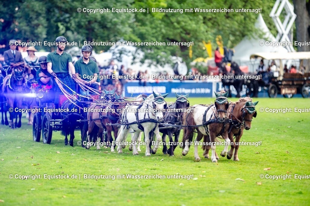 20250606_Lange-Pferdenacht_0170 | Foto: Thomas Hartig