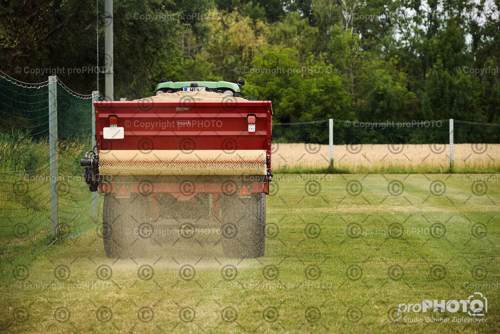 202507_Rernböck-Rasen_NZ9_1191 | proPHOTO - Realisiert mit Pictrs.com