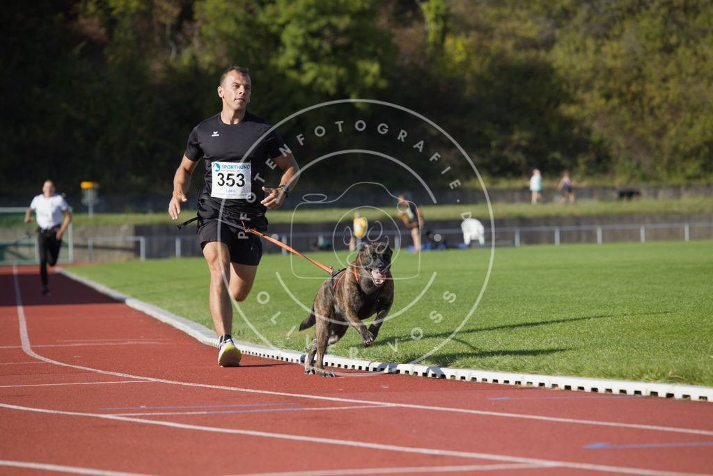 0L8A0029 | Hundefotografie, Tierfotograf, Pfotenfotografie, Fotoshooting Hund, Hunde Portrait, Hundesport, Hundeportraits, Heideshooting, Hunde, Sportfotograf, Hundefotograf, Turnierhundsport, THS,  - Realisiert mit Pictrs.com