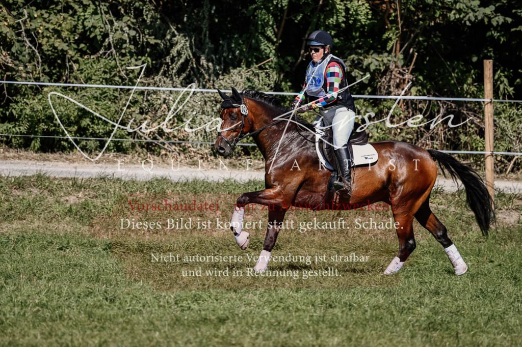 DSC_1551 | Pferde- und Turnierfotografie in Westsachsen. Pferdeportraits, Auftragszeichnungen und intuitive Kunst.