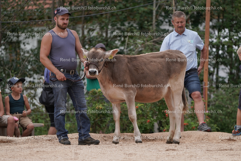 DSC00594-2 | René Burch leidenschaftlicher Fotograf aus Kerns in Obwalden.  Hier finden sie Sport, Landschaft und Natur Fotografie.
 - Realisiert mit Pictrs.com