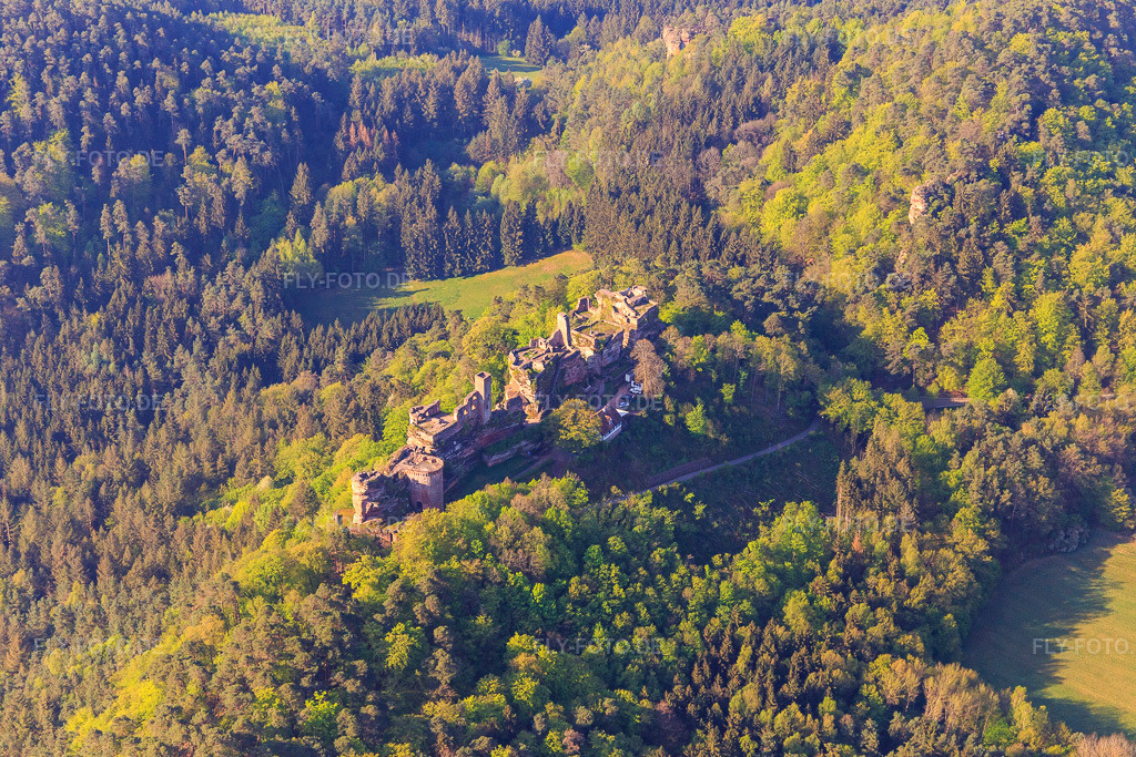 Luftbild: Burgruine Tanstein in Dahn im Bundesland Rheinland-Pfalz in Deutschland. – Foto: IMG_106932.jpg vom 22.04.2018 durch Werner Riehm/FLY-FOTO.de – Auflösung des Originals: 5472 x 3648 px – Altdahner Burgengruppe