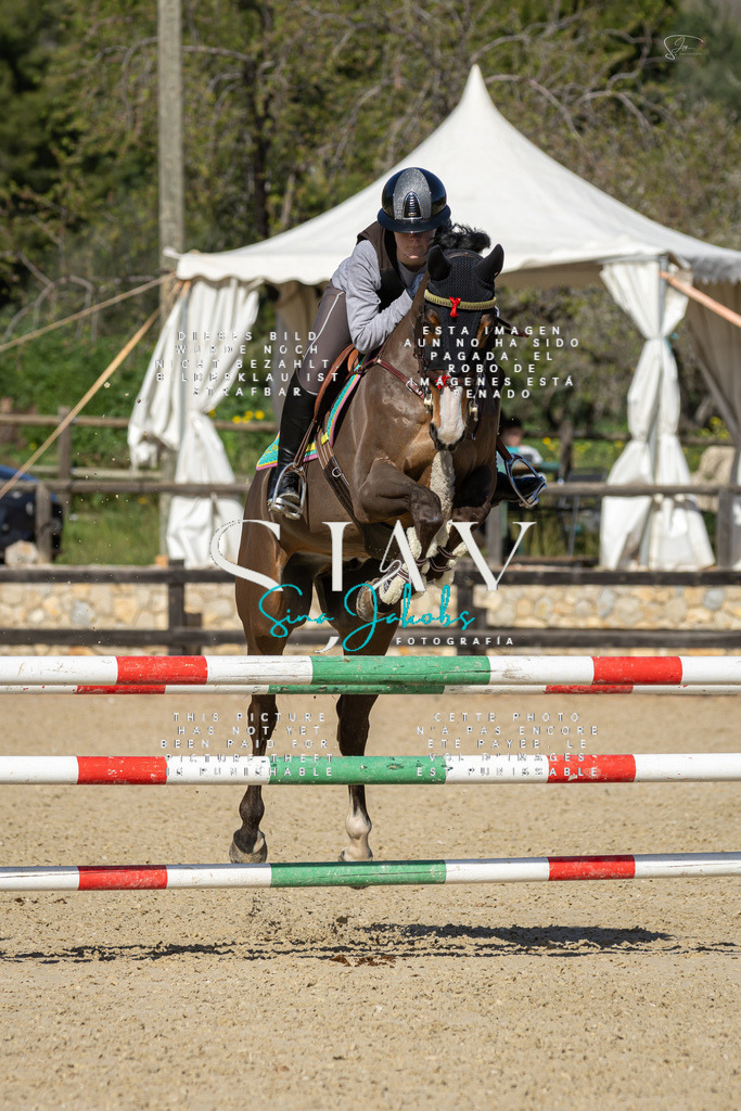 IMG_6779 | s-jay-photography - Realisiert mit Pictrs.com