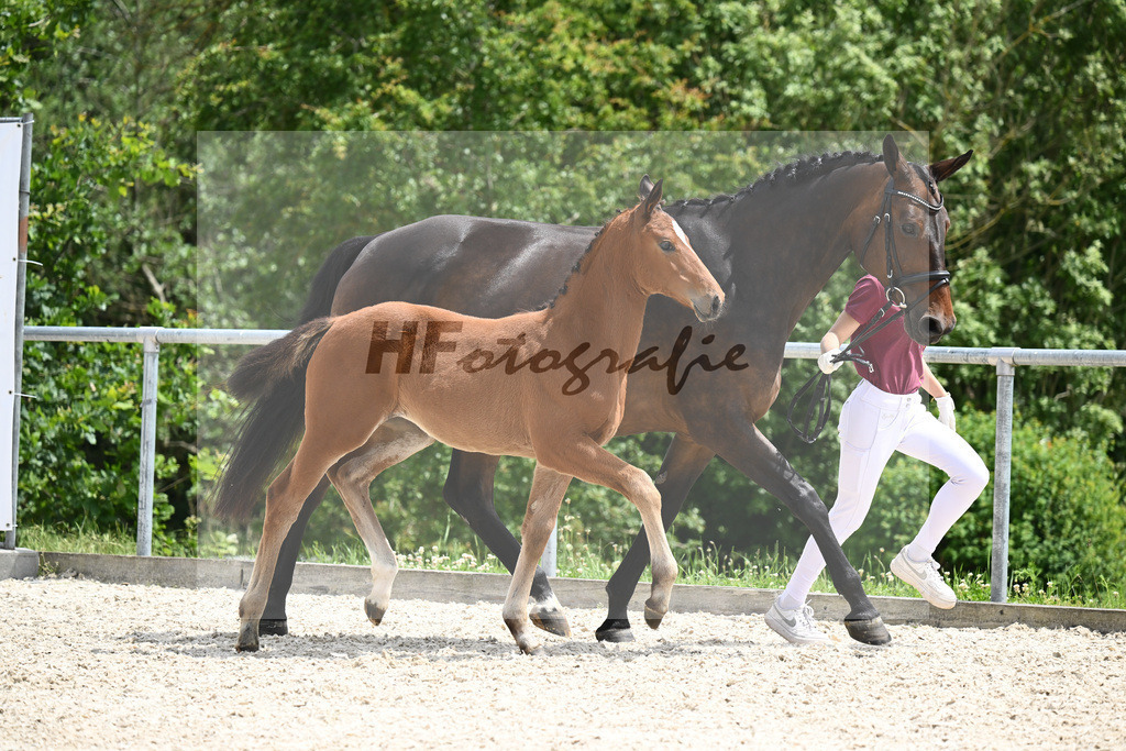 Viva Vitalis x Locksley III_SF_Ochs_20240472 | hf-fotografie - Realisiert mit Pictrs.com