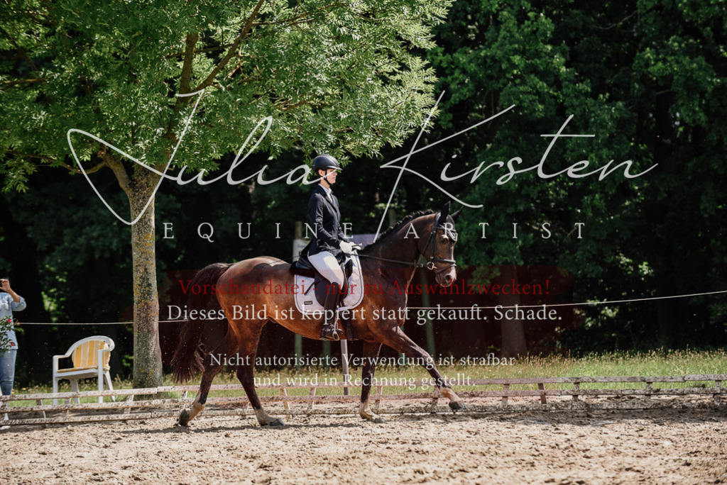 DSC_0865 | Pferde- und Turnierfotografie in Westsachsen. Pferdeportraits, Auftragszeichnungen und intuitive Kunst.