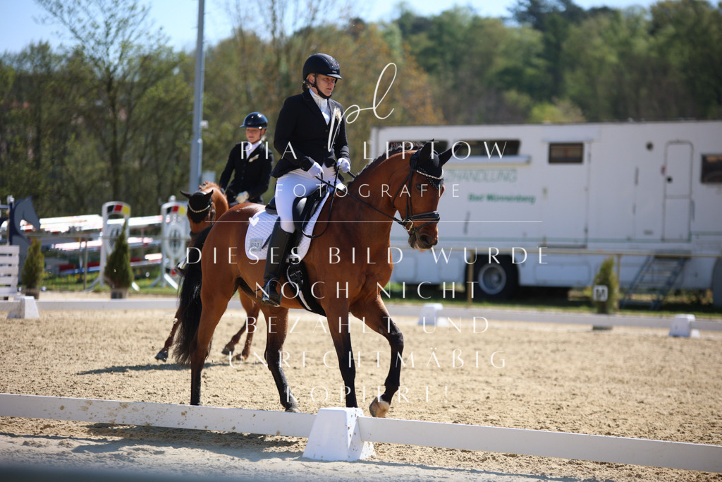 IMGT1060 | pl-fotografie