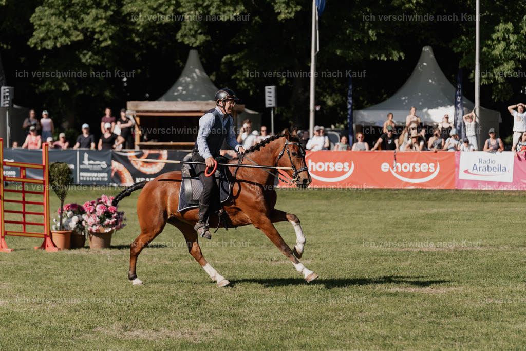 SIN01195 | Pferd International München 2025