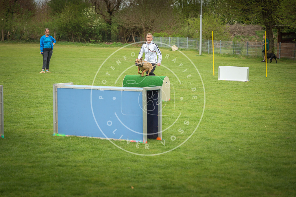 Pfotenfotografie_0L8A9774 | Hundefotografie, Tierfotograf, Pfotenfotografie, Fotoshooting Hund, Hunde Portrait, Hundesport, Hundeportraits, Heideshooting, Hunde, Sportfotograf, Hundefotograf, Turnierhundsport, THS,  - Realisiert mit Pictrs.com