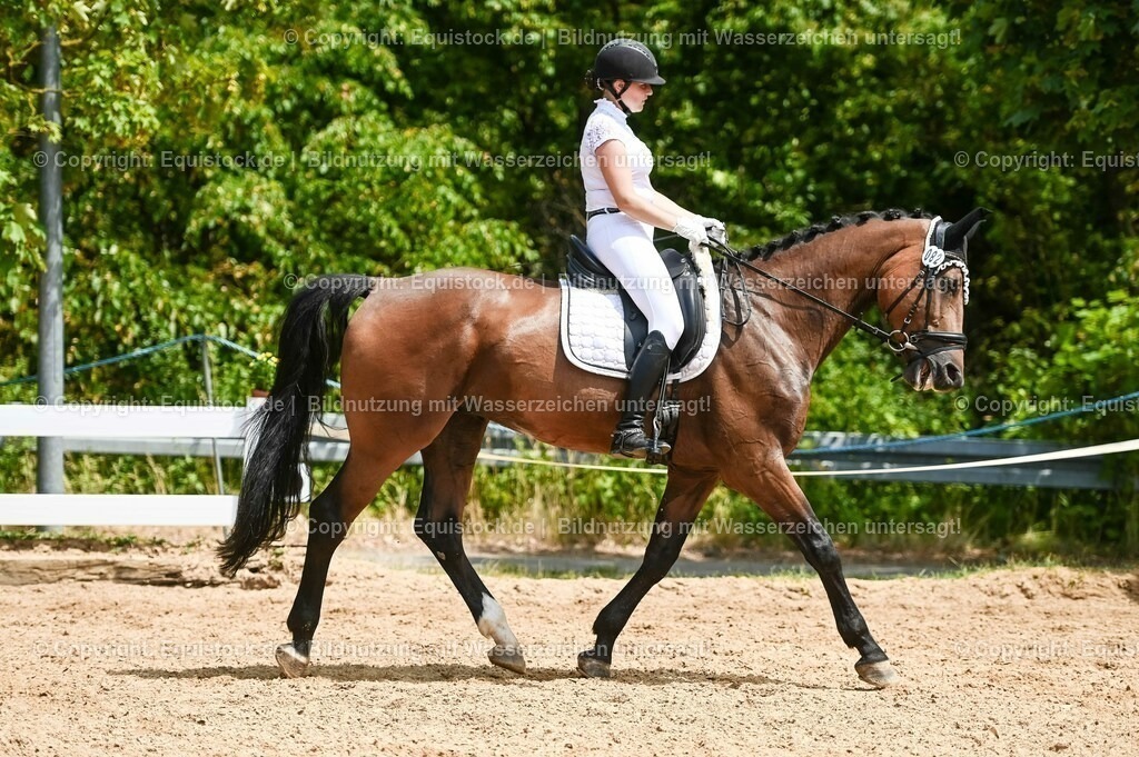20230715_05_Dressurprüfung Kl.A++_0421 | equistock