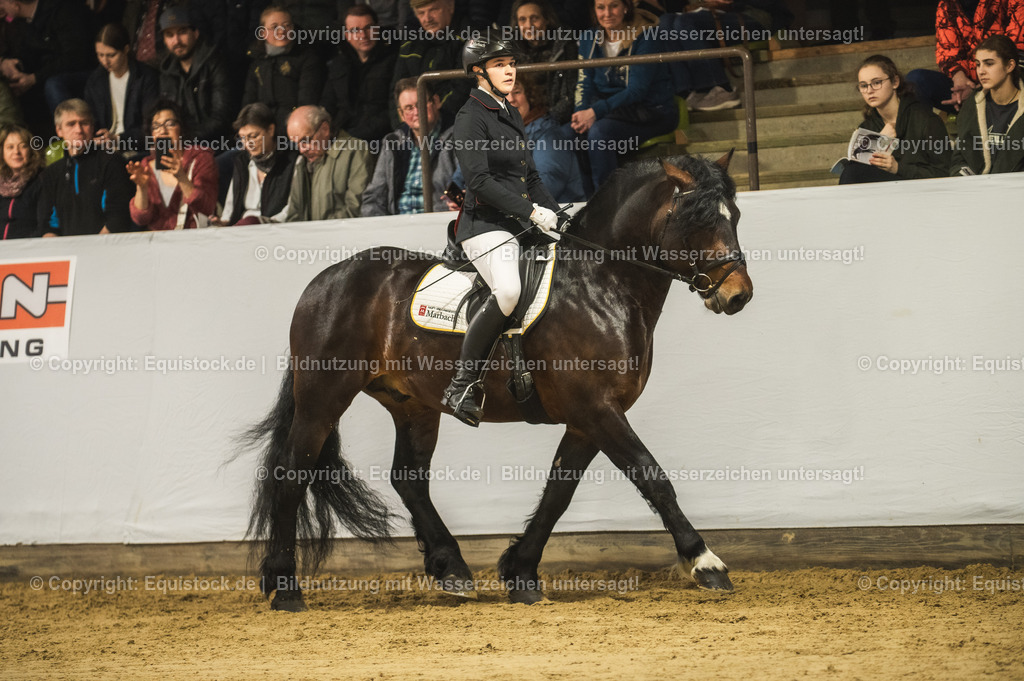 20240302_Hengstvorstellung_Marbach_TOMsPiC_0283 | equistock