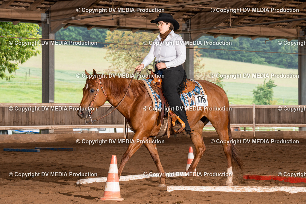 Erbach Tag 3-268 | dv-media-shop - Realisiert mit Pictrs.com