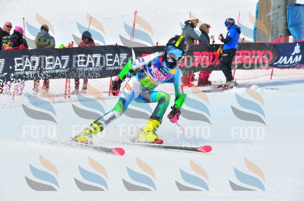 DSC_7110 | holidayphoto