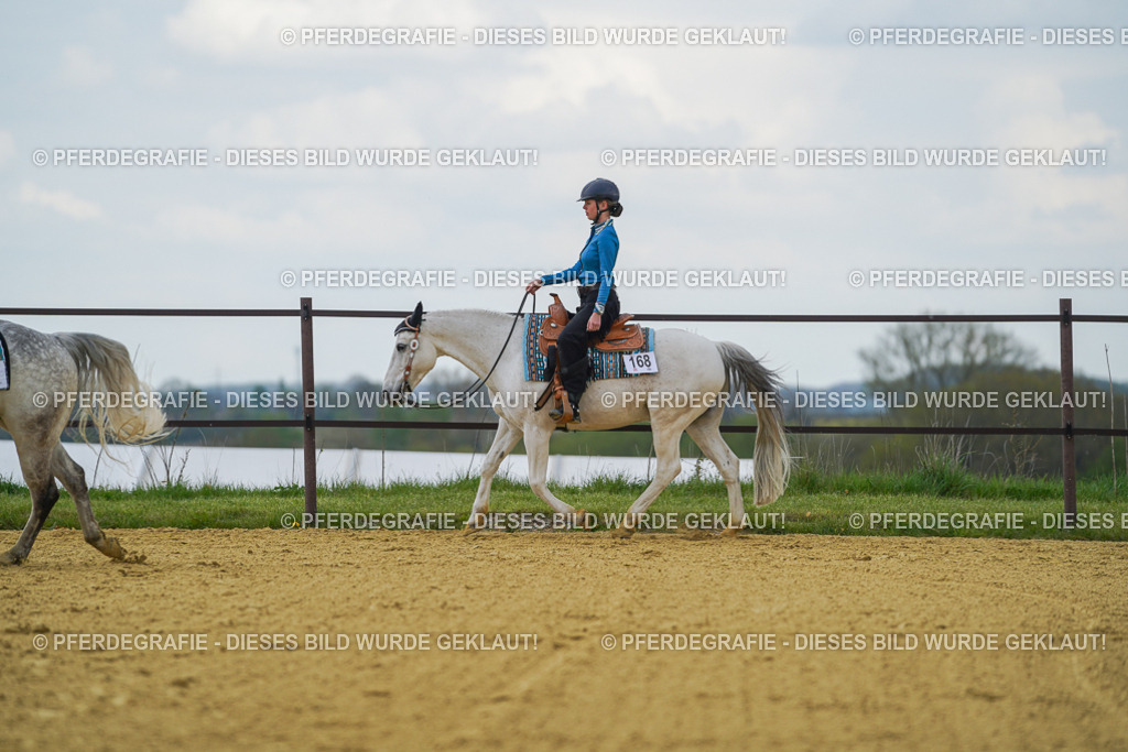 DSC06504 | Pferdegrafie