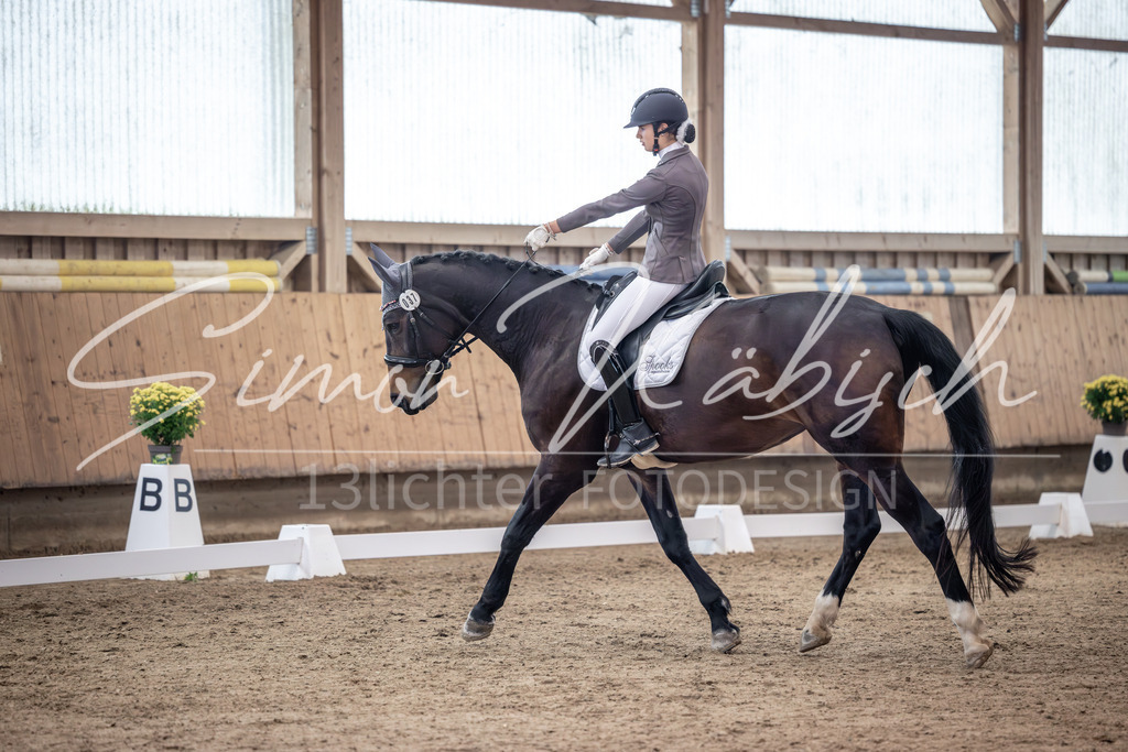 20251011-_3LI9689 | Tierfotografie Pferde, Hunde, Katzen, Haustiere.
Turnierfotografie Reitturniere, Reiten, Springreiten, Dressur in Hanau, dem Main-Kinzig-Kreis und dem Rhein-Main- Gebiet um Frankfurt