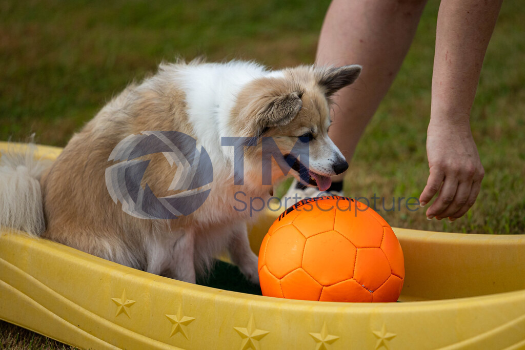 TP-20240815-0014 | Copyright: Trainproduction / Matthias Trinkl