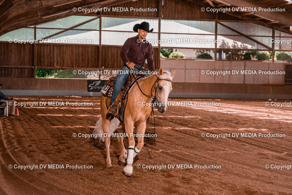 NE200868 | dv-media-shop - Realisiert mit Pictrs.com